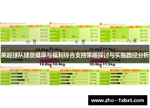 英超球队球员健康与福利综合支持策略探讨与实施路径分析